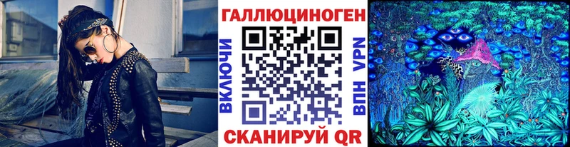 Псилоцибиновые грибы Psilocybe  Купить  Оха 